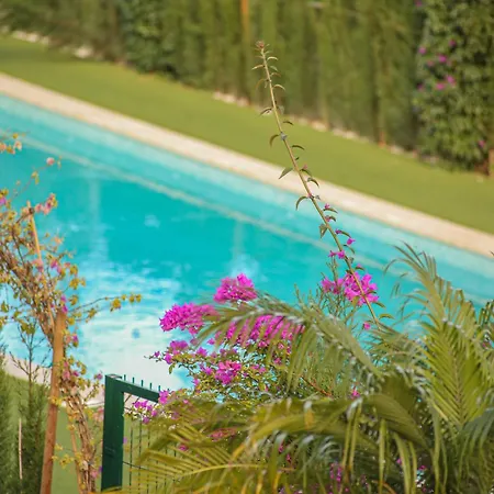 Lejlighed Modern Flat With Montgo View Dénia